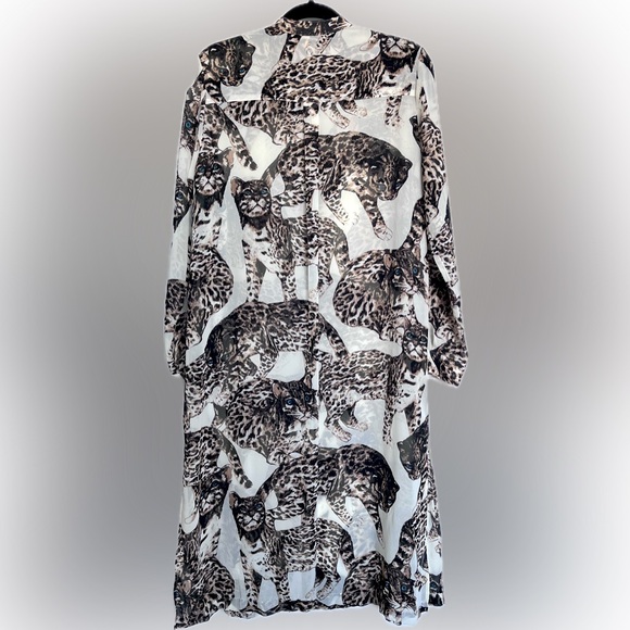 H&M Conscious Collection Sheer Cat Maxi Duster / Shirtdress - Picture 3 of 10